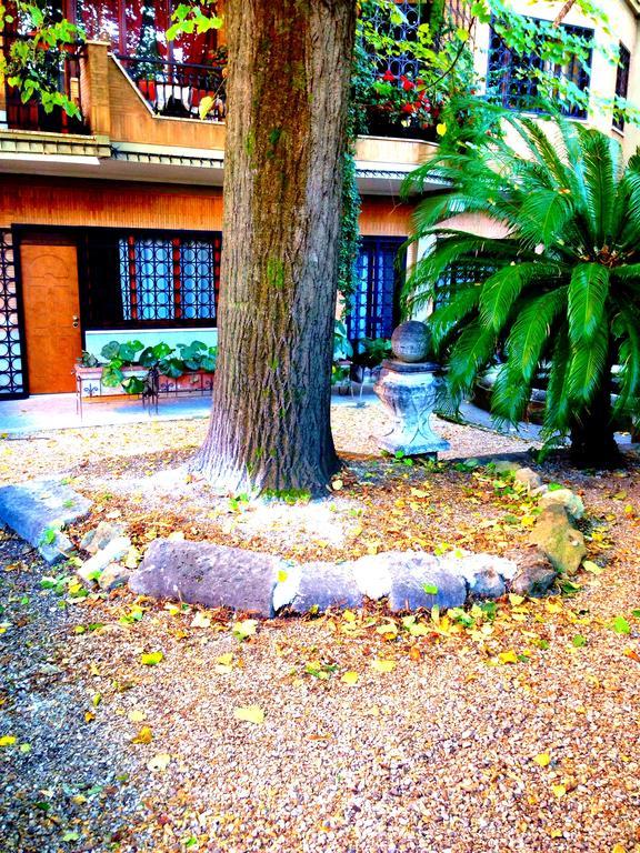 Vatican House Apartment 로마 객실 사진
